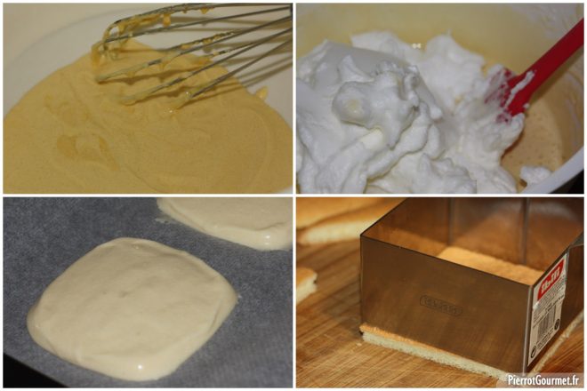 biscuit à la cuillère